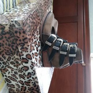 Freebird  SCARLETT..  FREEBIED